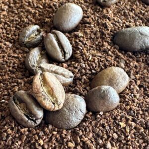 1000 gr çekirdek espresso